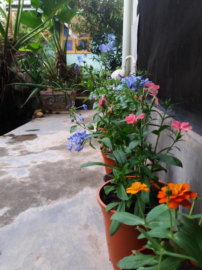 Mazz Homestay Negombo Exterior foto